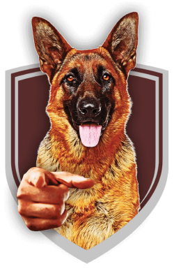 We Want You dog in shield