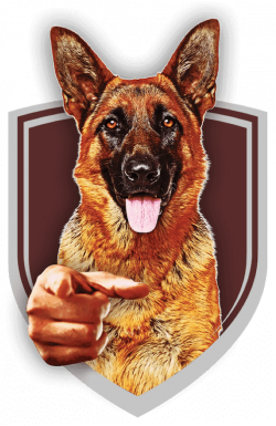 We Want You dog in shield